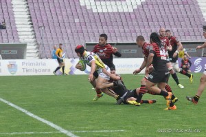 rugby saracens calvisano challenge cup_18