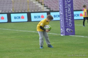 rugby saracens calvisano challenge cup_25