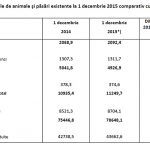 animale pasari 2014 2015