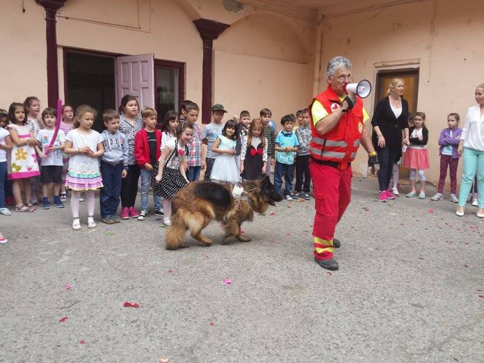 demonstratie dresaj canin