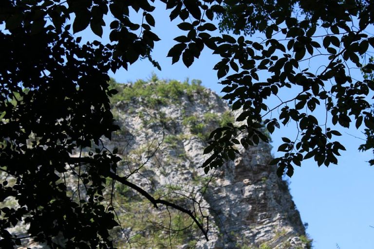 Cheile Carașului – una dintre zonele sălbatice ale României –  la doar 9 kilometri de Reșița. În România ariile sălbatice nu sunt bine protejate legal