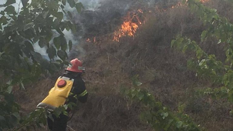 Incendiu puternic în Delta Dunării. Flăcările s-au întins pe 10 hectare de vegetație uscată