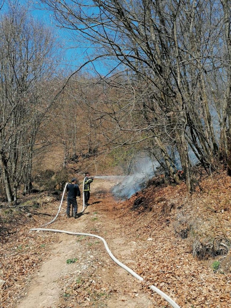 A doua zi de luptă cu flărăile, în pădurea din Coșava