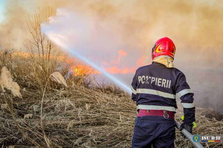 Incendiu de vegetație uscată în Urseni