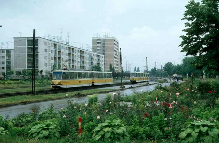 Cum arăta în comunism bulevardul reabilitat recent în Timișoara și cum arată astăzi