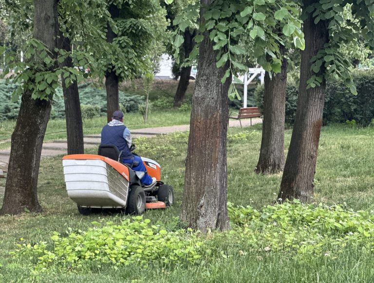 Muncitorii Horticultura au ajuns și în Complexul Studențesc