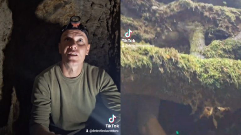 VIDEO | Spectaculoasa galerie subterană din munți, descoperită de un explorator sub rădăcinile unui copac