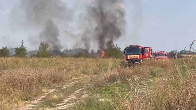 FOTO – VIDEO | Incendiile de vegetație, o problemă în județul Timiș! Ce trebuie să știe deținătorii de terenuri