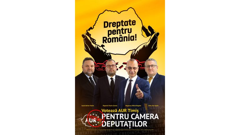 Politica românească de 34 de ani a ajuns în pielea goală și își arată nulitățile