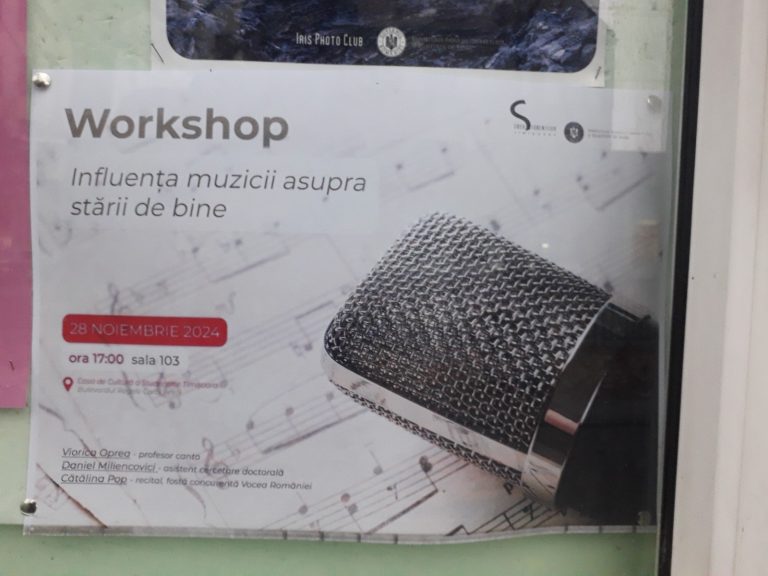 Instructaj (Wokshop) la Casa de Cultură a Studenților din Timișoara