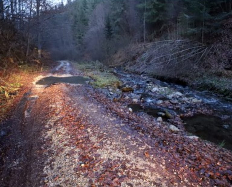 Splendoarea satelor de munte din vestul României. Aflate în mijlocul pădurilor, aceste localități suferă din cauza izolării produse de exploatările forestiere