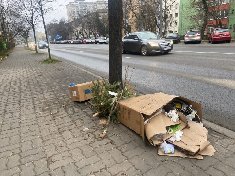 Cine e responsabil pentru mizeria de pe străzile din Timișoara? „Și unde să arunc, dacă nu găsesc un coș gunoi câțiva kilometri?” FOTO-VIDEO